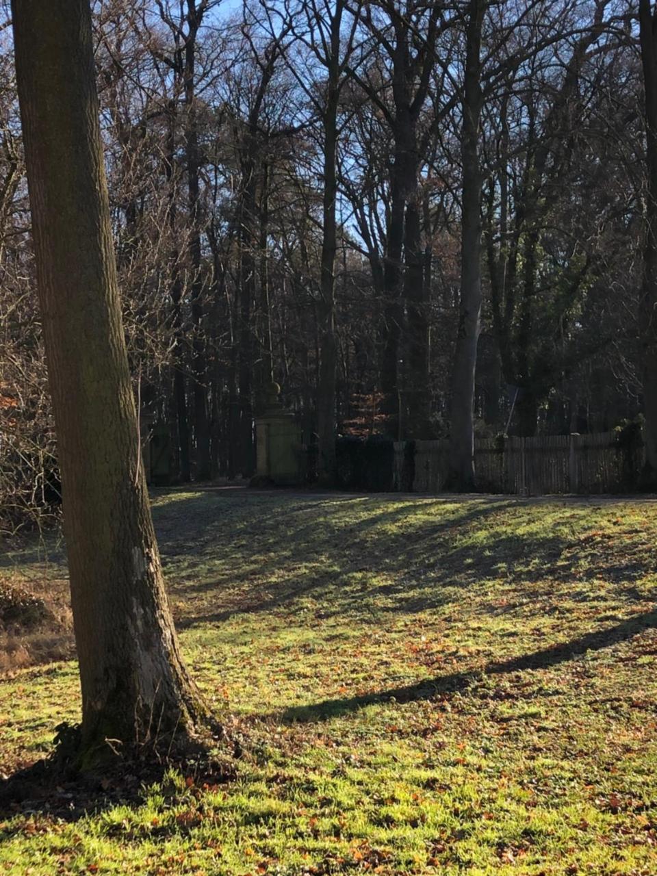 Koenig'S Hotel Am Schlosspark Rheda-Wiedenbrück Exteriör bild
