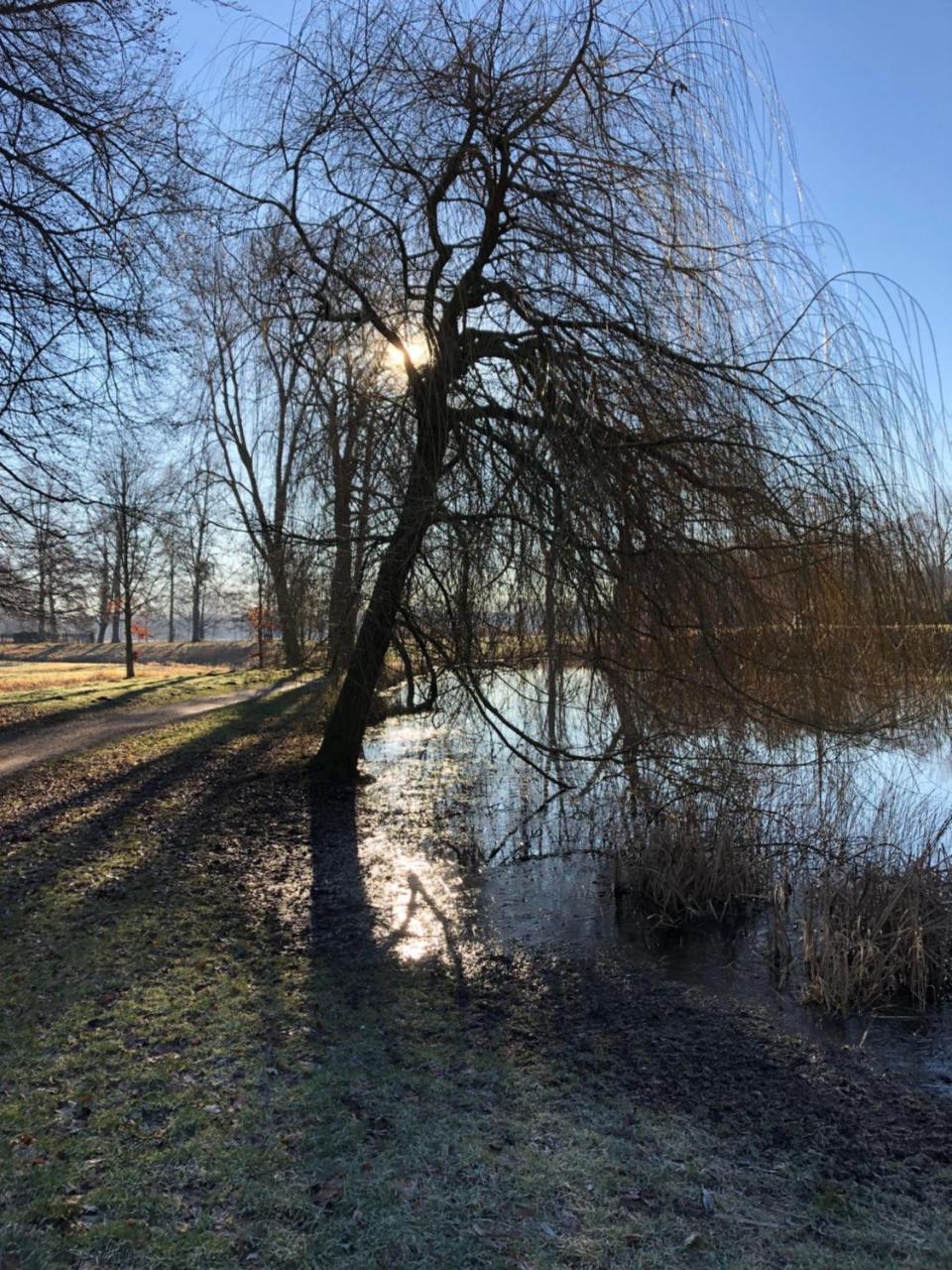Koenig'S Hotel Am Schlosspark Rheda-Wiedenbrück Exteriör bild